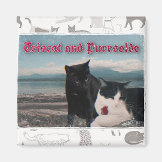 Triscat en Purrsolde magnet
