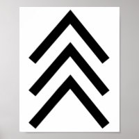 Trisomie 21 Downsyndroom Drie Chromosom Pijlen 1