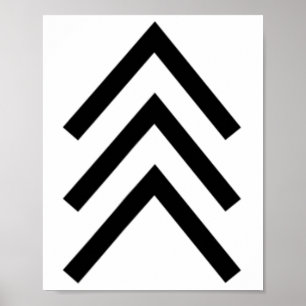 Trisomie 21 Downsyndroom Drie Chromosom Pijlen 1 Poster