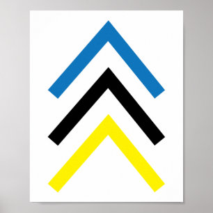 Trisomy 21 Down Syndroom Drie chromosoompijlen Poster