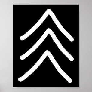 Trisomy 21 Down Syndroom Drie chromosoompijlen Poster