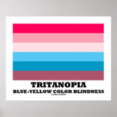 Tritanopia Blue-Yellow Color Blindness Poster (Voorkant)
