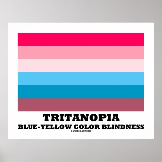 Tritanopia Blue-Yellow Color Blindness Poster (Voorkant)