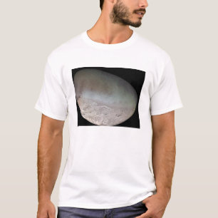Triton, de grootste maan van de planeet Neptune T-shirt