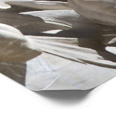 Triton in Trevi Poster (Hoek)