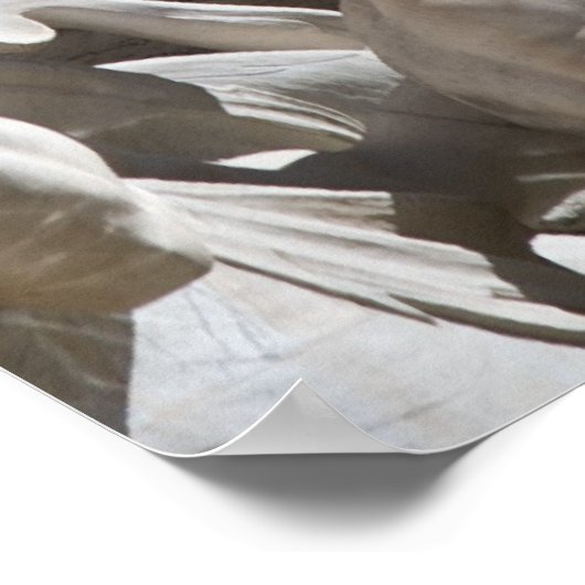 Triton in Trevi Poster (Hoek)