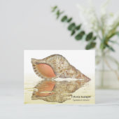 Triton seashell briefkaart (Staand voorkant)