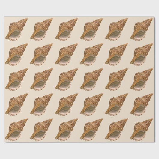  Triton Seashell Shell, Marine Ocean Animal Cadeaupapier (Vlak)
