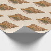  Triton Seashell Shell, Marine Ocean Animal Cadeaupapier (Hoek)
