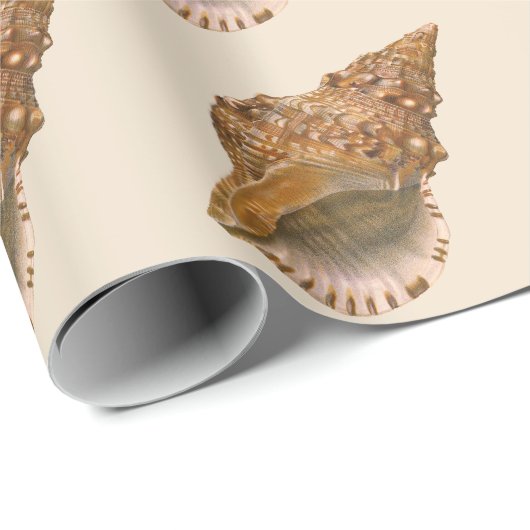  Triton Seashell Shell, Marine Ocean Animal Cadeaupapier (Rol Hoek)