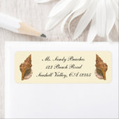  Triton Seashell Shell, Marine Ocean Animal Etiket (Insitu)