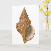 Triton Seashell Shell, Marine Ocean Animal Kaart (Gele Bloem)
