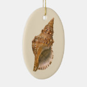  Triton Seashell Shell, Marine Ocean Animal Keramisch Ornament (Rechts)