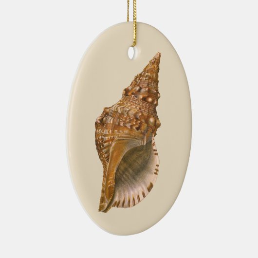 Triton Seashell Shell, Marine Ocean Animal Keramisch Ornament (Rechts)