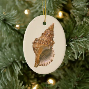 Triton Seashell Shell, Marine Ocean Animal Keramisch Ornament