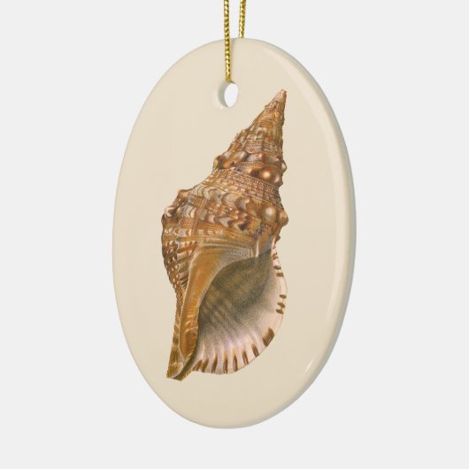  Triton Seashell Shell, Marine Ocean Animal Keramisch Ornament (Links)