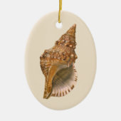  Triton Seashell Shell, Marine Ocean Animal Keramisch Ornament (Voorkant)