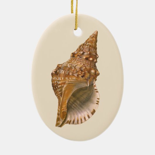 Triton Seashell Shell, Marine Ocean Animal Keramisch Ornament (Achterkant)