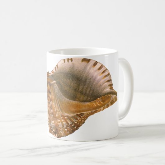  Triton Seashell Shell, Marine Ocean Animal Koffiemok (Voorkant rechts)
