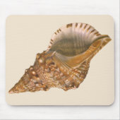 Triton Seashell Shell, Marine Ocean Animal Muismat (Voorkant)