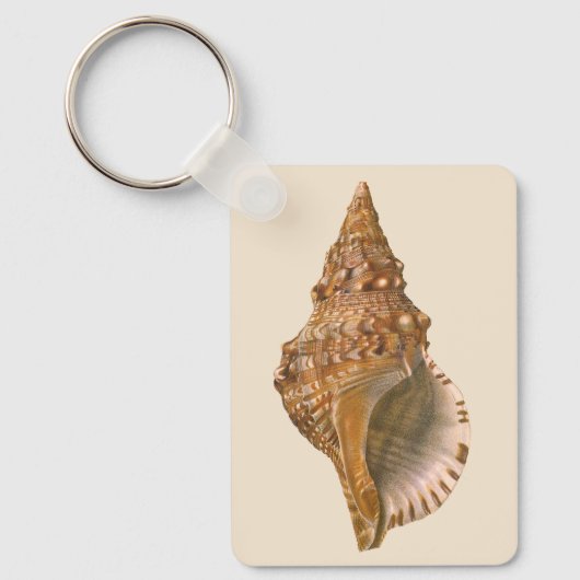 Triton Seashell Shell, Marine Ocean Animal Sleutelhanger (Voorkant)