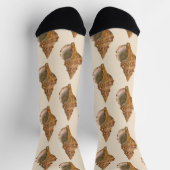  Triton Seashell Shell, Marine Ocean Animal Sokken (Top)