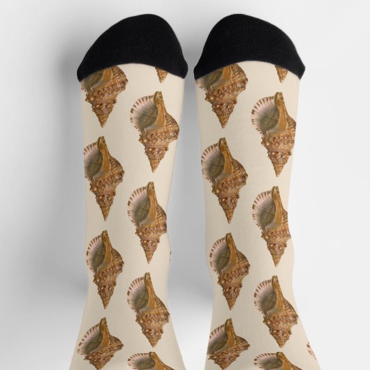 Triton Seashell Shell, Marine Ocean Animal Sokken (Top)