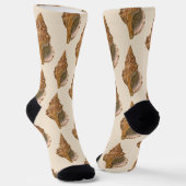 Triton Seashell Shell, Marine Ocean Animal Sokken (Gebogen)