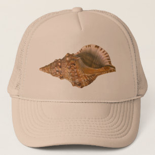  Triton Seashell Shell, Marine Ocean Animal Trucker Pet