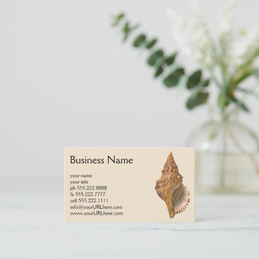  Triton Seashell Shell, Marine Ocean Animal Visitekaartje (Staand voorkant)