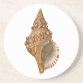 Triton Seashell Shell, Marine Ocean Animal Zandsteen Onderzetter (Voorkant)