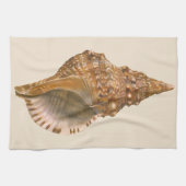 Triton Zeeschelp Schelp, Vintage Zee Dier Theedoek (Horizontaal)