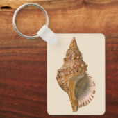 Triton Zeeschelp Schelp, Vintage Zee Mariene Dier Sleutelhanger (Voorkant)
