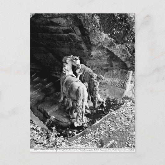 Tritons die de paarden van de zon bewateren briefkaart (Voorkant)