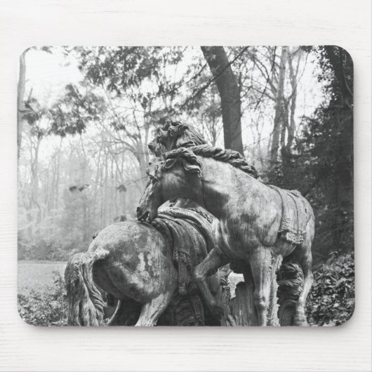 Tritons die twee paarden van de zon groomden in muismat (Voorkant)