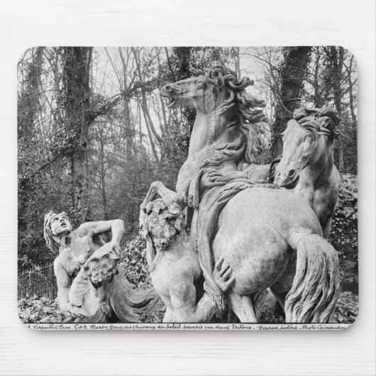 Tritons die twee paarden van de zon groomt muismat (Voorkant)