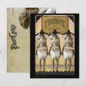 Triumfant Briefkaart (Voorkant / Achterkant)