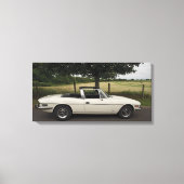 Triumph Stag Canvas Afdruk (Voorkant)