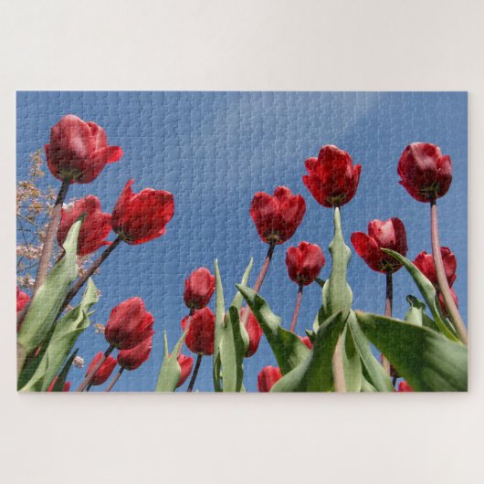 Triumph Tulp (Tulipa) "Reinier Paping" Legpuzzel (Horizontaal)