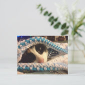 Trixie en de blauwe plekken briefkaart (Staand voorkant)