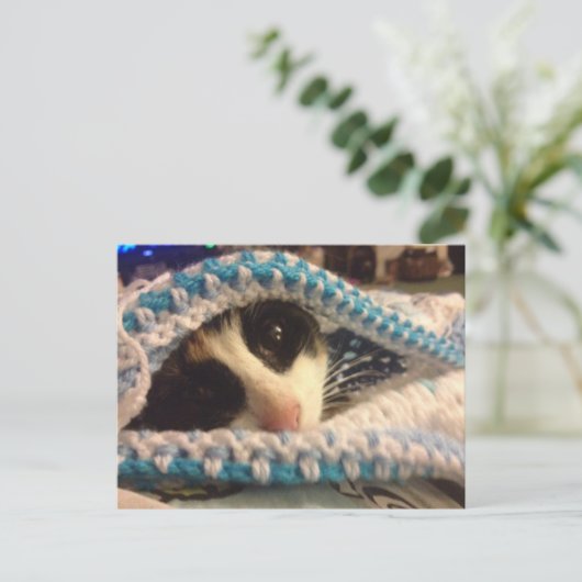 Trixie en de blauwe plekken briefkaart (Staand voorkant)