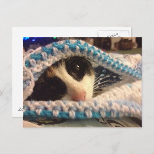 Trixie en de blauwe plekken briefkaart (Voorkant / Achterkant)