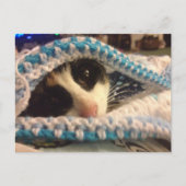 Trixie en de blauwe plekken briefkaart (Voorkant)