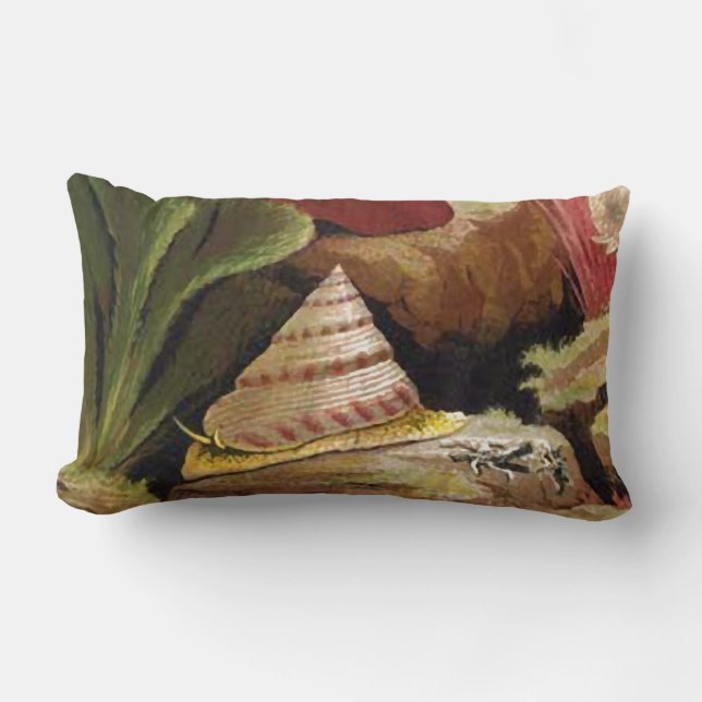 Troca Seashell met koraal Nautical Pillow-Design Kussen (Voorkant)
