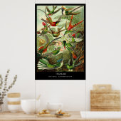 Trochilidae - Bord 99 - Kunstformen der Natur Poster (Keuken)