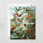 Trochilidae Hummingbird, Ernst Haeckel Briefkaart (Voorkant / Achterkant)