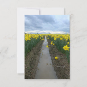 troebele dag narcissen notitiekaartje