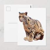 troebele luipfoto oerwoud groot kattedier briefkaart (Voorkant / Achterkant)