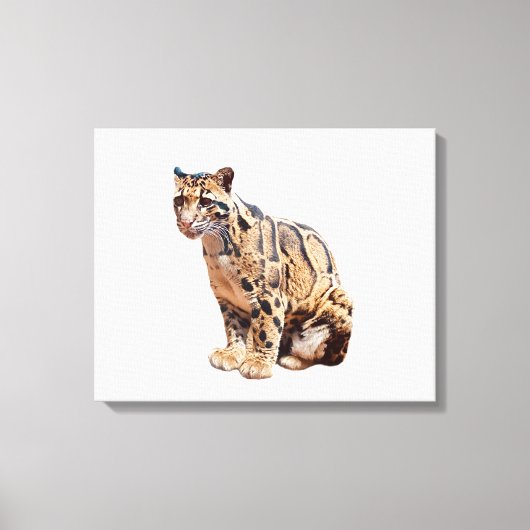 troebele luipfoto oerwoud groot kattedier canvas afdruk (Voorkant)