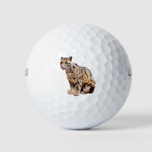 troebele luipfoto oerwoud groot kattedier golfballen (Voorkant)